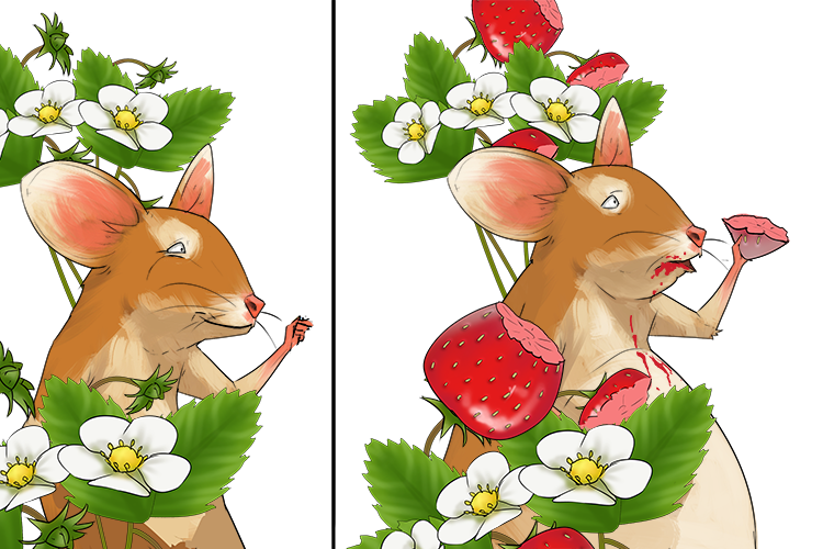 I over eat (ovary) when the flowers develop into fruit